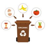 Recycling organic waste, compost, segregate waste, sorting garbage, eco friendly, concept. White background. Vector illustration, flat style.