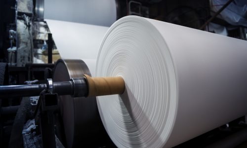 Paper and pulp mill