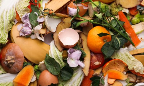 Pile Of Organic Waste For Composting As Background, Closeup